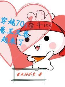 穿越年代:卷!从小山村开始 穿越年代:卷!从小山村开始